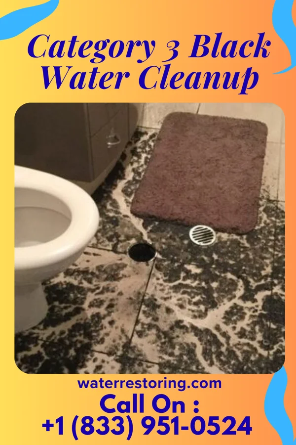 Category 3 Black Water Cleanup in Waikele, HI